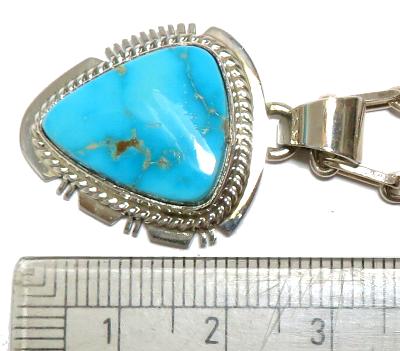 �C���f�B���@�L���O�}���@�^�[�R�C�Y�@�l�b�N���X