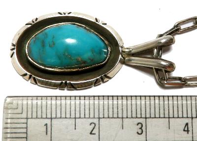 �C���f�B���@�������V�@�^�[�R�C�Y�@�l�b�N���X