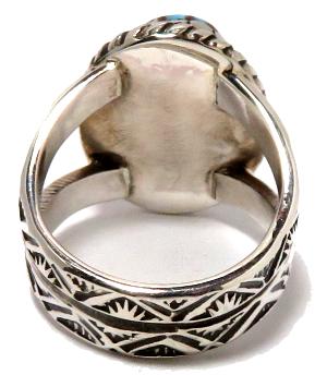 �l�C�e�B�u�A�����J���@�i�o�z�E�^�[�R�C�Y�����O