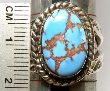 �C���f�B�A���W���G���[�@�^�[�R�C�Y