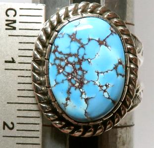 �C���f�B�A���W���G���[�@�^�[�R�C�Y