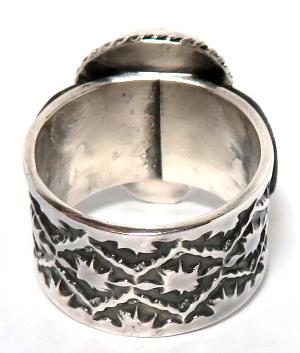 �l�C�e�B�u�A�����J���@�i�o�z�E�^�[�R�C�Y�����O