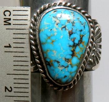 �C���f�B�A���W���G���[�@�i�o�z�������O