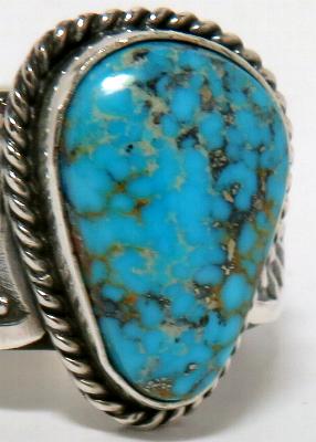 �C���f�B�A���W���G���[�@�^�[�R�C�Y