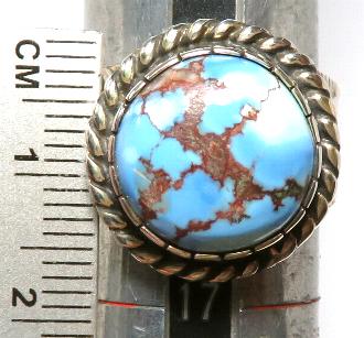 �C���f�B�A���W���G���[�@�^�[�R�C�Y