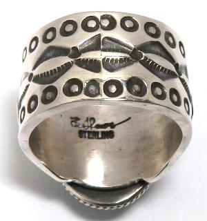 �l�C�e�B�u�A�����J���@�i�o�z�E�^�[�R�C�Y�����O