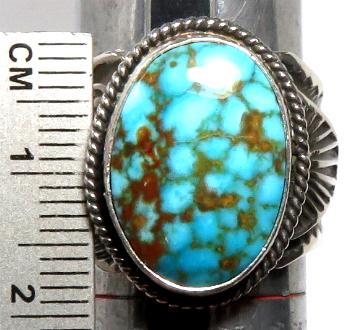 �C���f�B�A���W���G���[�@�^�[�R�C�Y