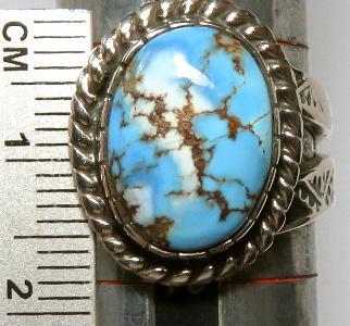 �C���f�B�A���W���G���[�@�^�[�R�C�Y