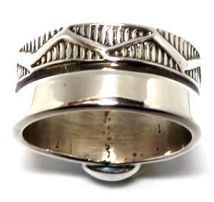 �l�C�e�B�u�A�����J���@�i�o�z�E�^�[�R�C�Y�����O