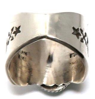 �l�C�e�B�u�A�����J���@�i�o�z�E�^�[�R�C�Y�����O