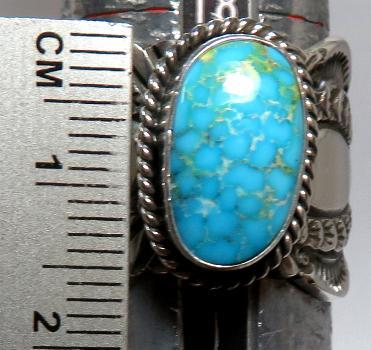 �C���f�B�A���W���G���[�@�i�o�z�������O