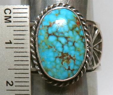 �i�o�z�@�����O�@�C���f�B�A���W���G���[