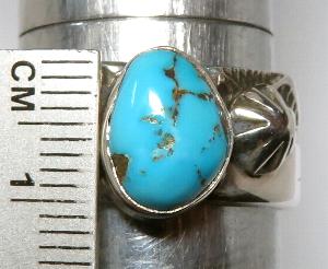 �i�o�z�@�����O�@�C���f�B�A���W���G���[