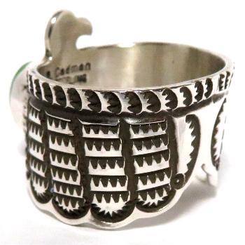 �l�C�e�B�u�A�����J���@�i�o�z�E�^�[�R�C�Y�����O