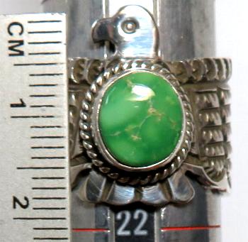 �C���f�B�A���W���G���[�@�i�o�z�������O