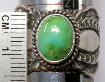 �^�[�R�C�Y�@�l�C�e�B�u�A�����J���@�i�o�z�@�����O�@Ring�@