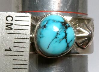 �C���f�B�A���W���G���[