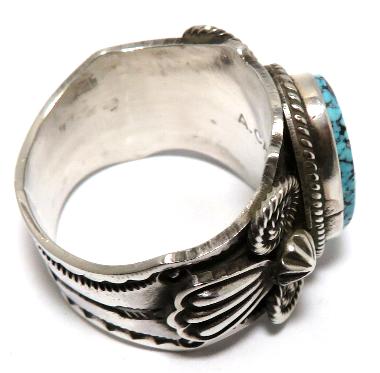 �C���f�B�A���W���G���[