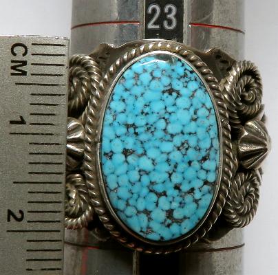 �C���f�B�A���W���G���[