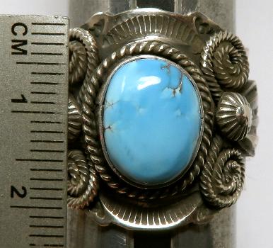 Andy Cadman(�A���f�B�E�L���h�}��)�� �C���f�B�A���W���G���[�@�i�o�z�@�����O�@�^�[�R�C�Y