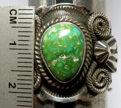 Andy Cadman(�A���f�B�E�L���h�}��)�� �C���f�B�A���W���G���[�@�i�o�z�@�����O�@�^�[�R�C�Y